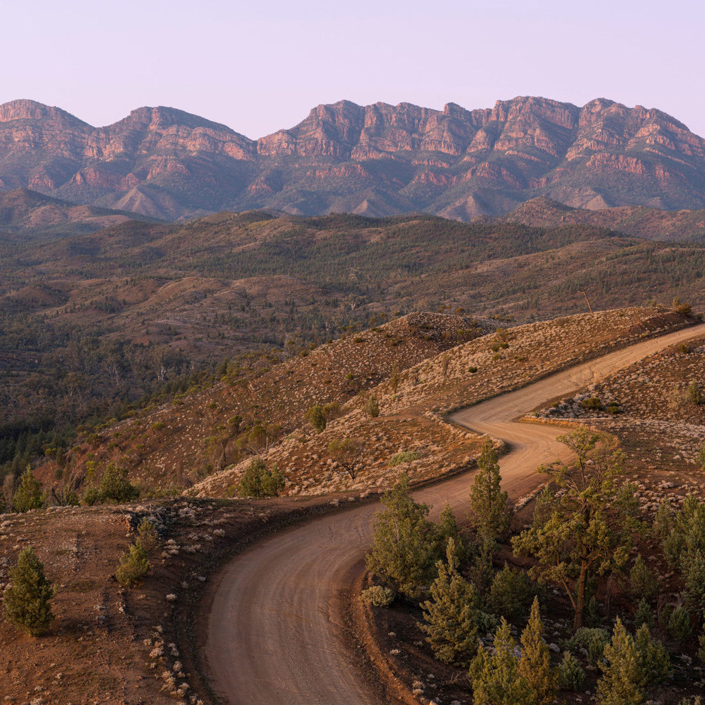 The Ancient Rift Zone of the Flinders Ranges