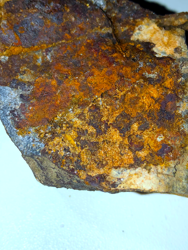 I FINALLY Found The Golden Reef Hidden in the Hill!