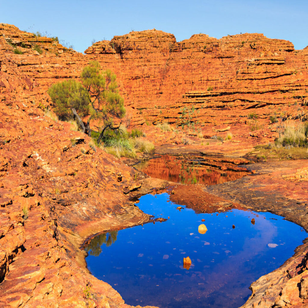 Kings Canyon: A Sandstone Cathedral in the Heart of Australia’s Red Centre
