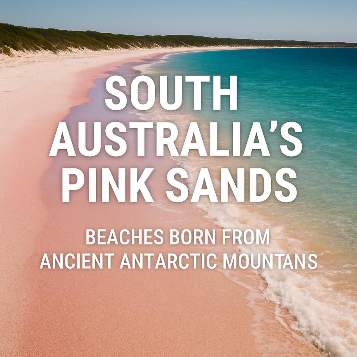 A high-resolution photo of South Australia’s Pink Sands beach, showing soft pink sand blending into turquoise waters beneath a clear blue sky.