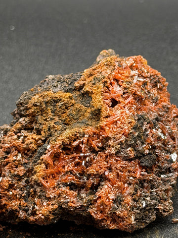 Tasmanian Crocoite Crystal Specimen 2