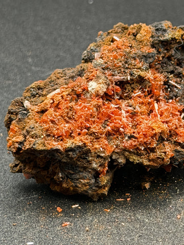 Tasmanian Crocoite Crystal Specimen 3