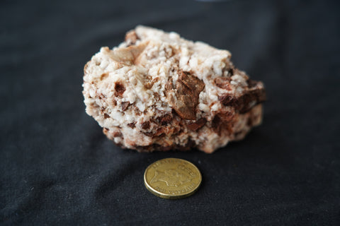 Baby Quartz Crystal Cluster – Victorian Goldfields: Specimen 20