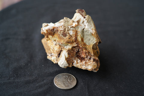 Victorian Goldfields Quartz Specimen – White Quartz Veining with Small Brown Crystal Cluster: Specimen 13