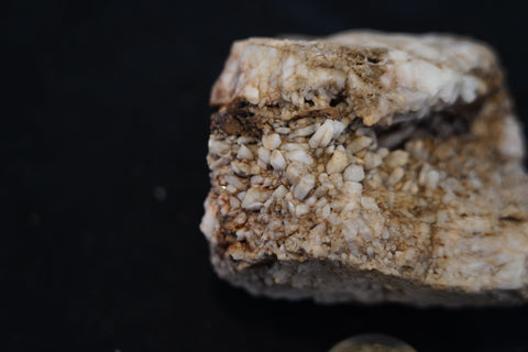 Victorian Goldfields Quartz Specimen – White & Pink Crystal Cluster in Conch-Like Formation: Specimen 11